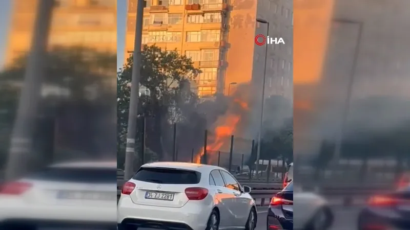 Ağaçlık alanda çıkan yangın korkuttu