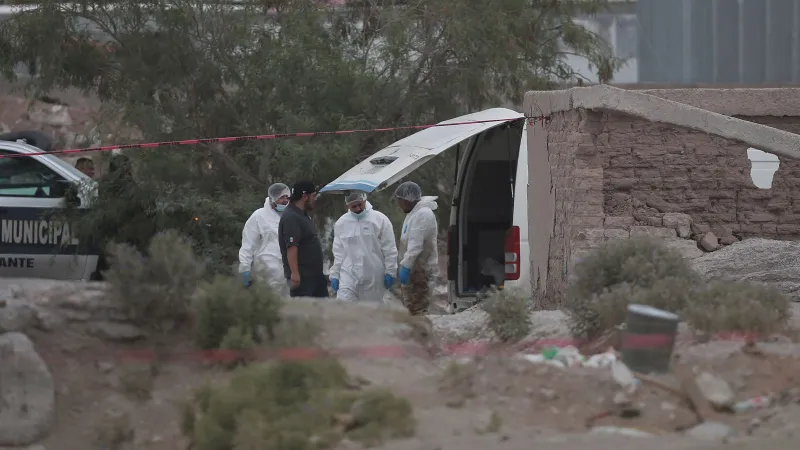 Akıllara durgunluk veren olay! Kötü koku üzerine baskın yapılan tesiste onlarca mumya bulundu!