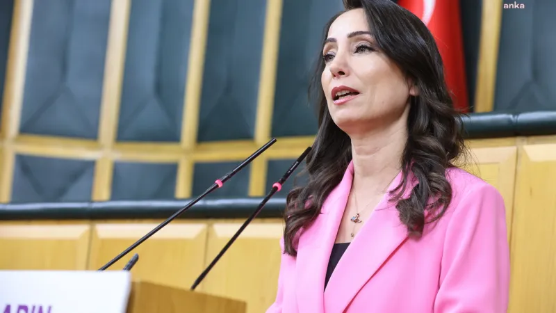 DEM Parti Eş Genel Başkanı Tülay Hatimoğulları: Süreç istenilen hızda gitmemektedir