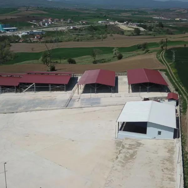 Havza'da canlı hayvan pazarı kapatıldı