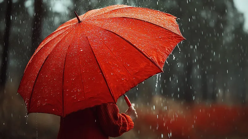 Sağanak Alarmı! 40 Şehirde Gök Gürültülü Yağış Tehlikesi