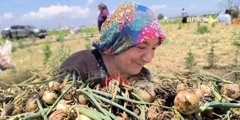 MHP Kalesi Osmaniye'de Soğan Kuyruğu: Halk Aç Kaldı!
