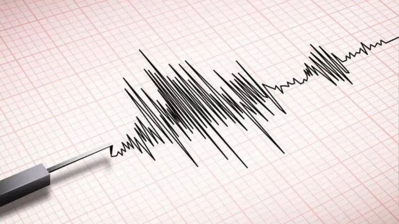 Muğla Sallandı! 3.8'lik Deprem Korkuttu! İşte İlk Detaylar