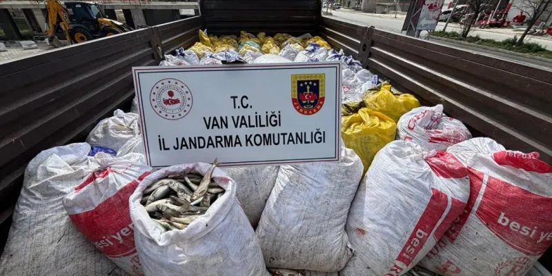 Van'da İnci Kefali Katliamı! Kaçak Avcılara Şok Ceza!
