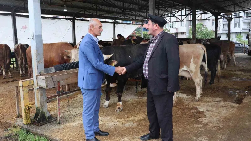 Ordu'da Kurban Bayramı Sürprizi! Büyükşehir'den Kesim Noktası Müjdesi