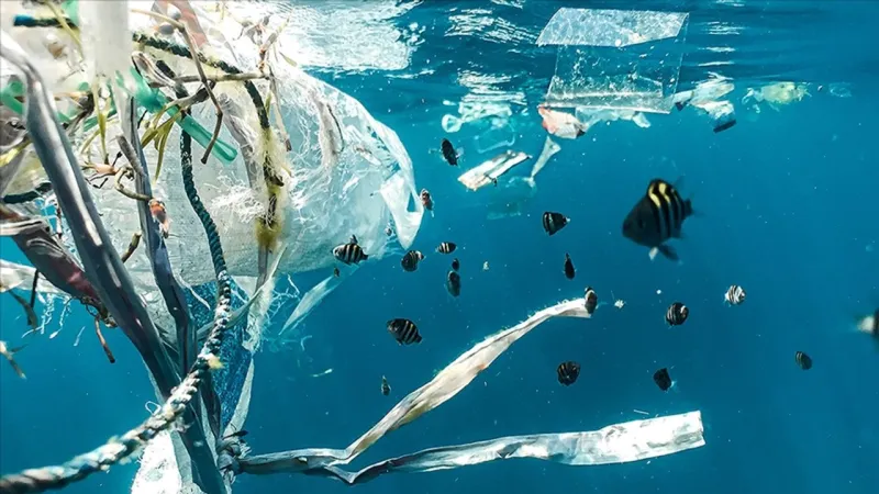 Türkiye Plastik Kirliliğinde Alarm Veriyor! Çözüm Nerede?