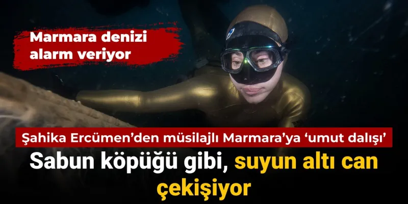 Şahika Ercümen müsilajlı Marmara Denizi'ne daldı: Suyun altı can çekişiyor