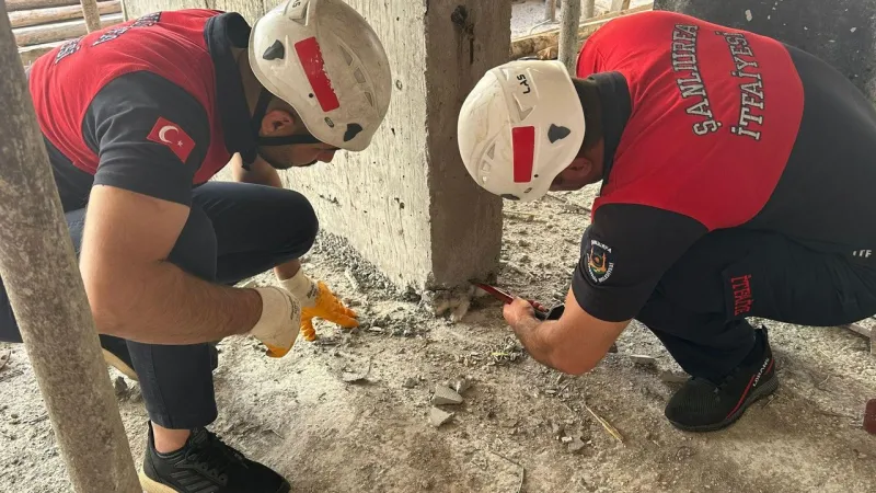 Yavru kedinin üzerine beton döktüler!